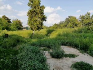 Фотография со строящегося объекта 2